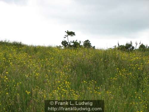 Around Lough Nasool